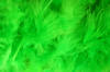 feather boa - feather trimming - extra thick - apple green