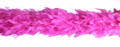 turkey feather boa available in 2 thicknesses in up to 40 colours