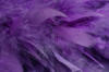 feather boa - feather trimming - extra thick - purple
