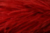 cherry thick ostrich feather boa