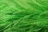 lime thick ostrich feather boa
