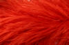 red medium thickness ostrich feather boa