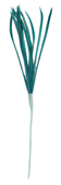 emerald green feather biot