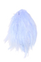 large light blue feather hackle pads