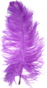 ostrich feathers dark purple