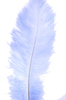 ostrich feathers medium blue