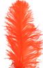 ostrich feathers dark orange