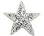 beaded and sequin motifs - medium star shape