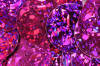 sequins - spangles - cyclamen laser