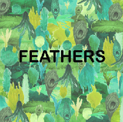 click here to enter the feathers customer category